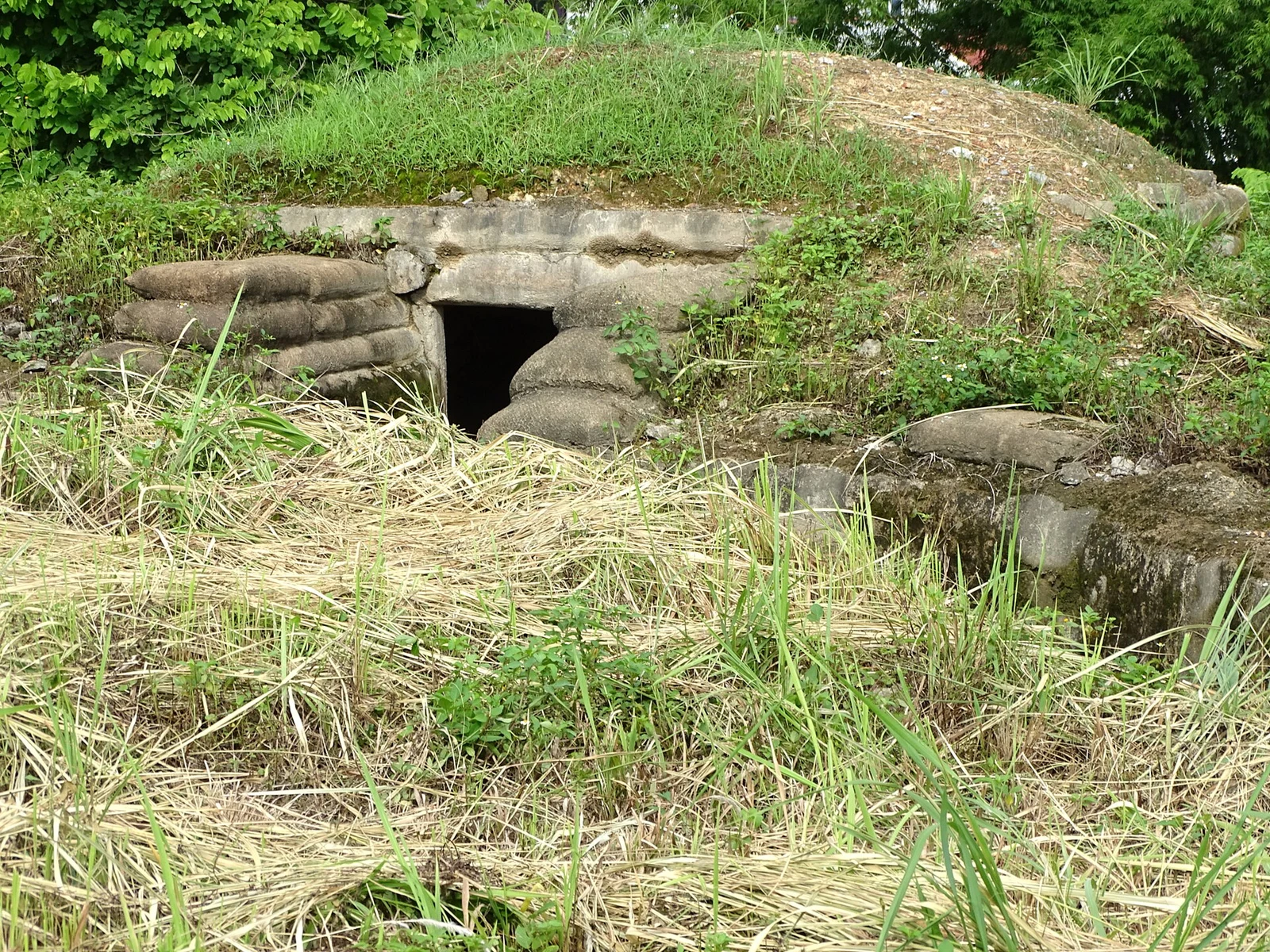Di tích đồi A1, Điện Biên.