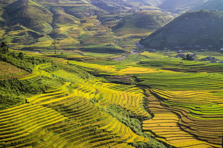 Ruộng bậc thang Mù Cang Chải, Yên Bái trước đây, nay thuộc Lào Cai.
