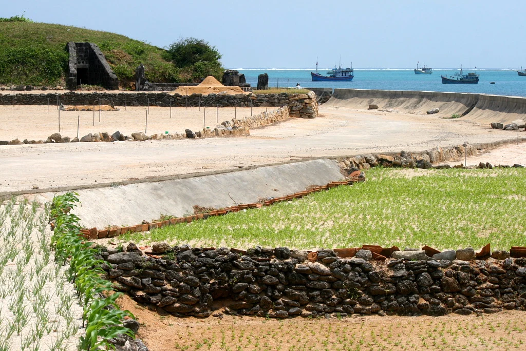 Cảnh quan đảo Lý Sơn, Quảng Ngãi.